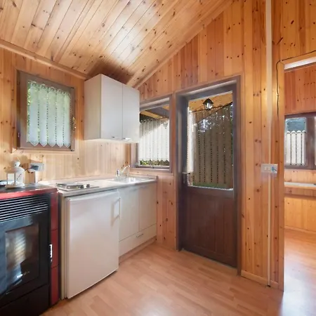 Holiday home Casa Bucaneve Barzio
